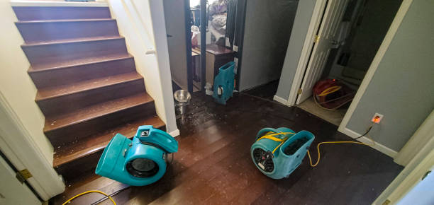 Best Fire Damage Restoration  in Redland, AL
