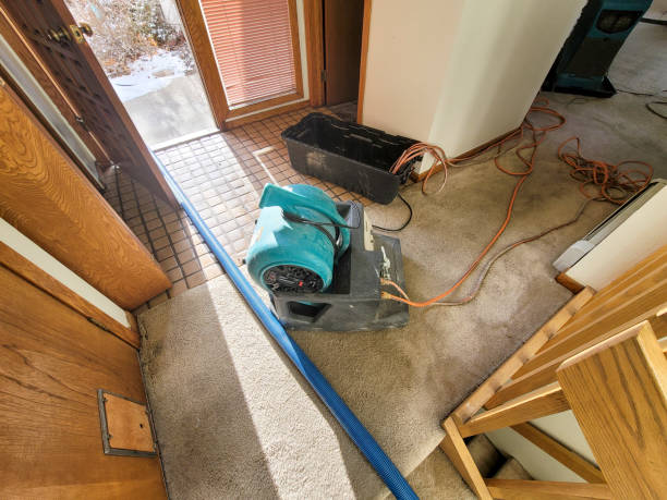 Water damage restoration insurance claims in Redland, AL