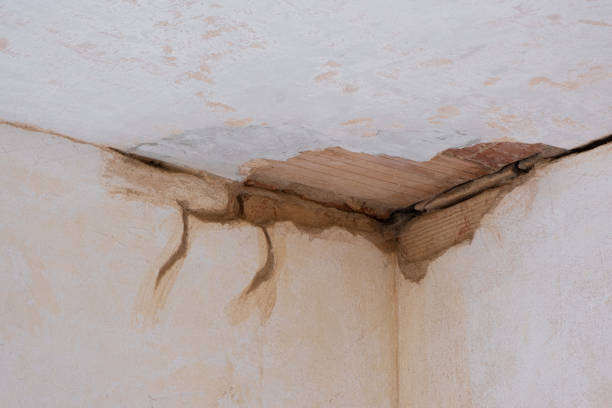 Best Local water damage restoration  in Redland, AL