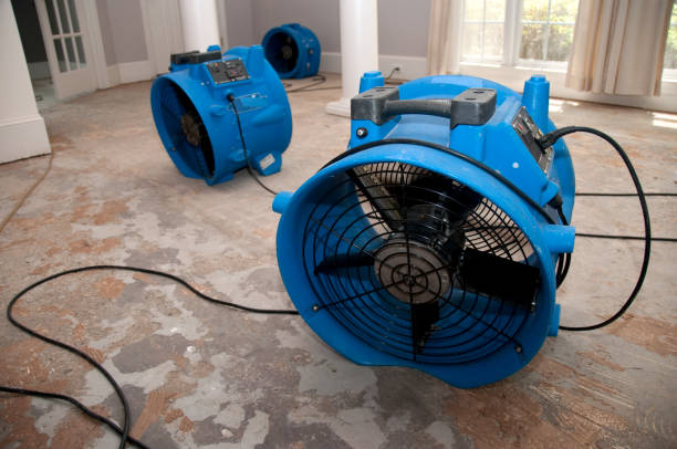 Best Water damage restoration insurance claims  in Redland, AL