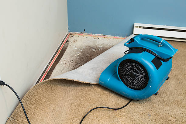 Best Flooded house restoration  in Redland, AL